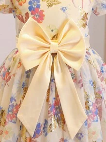 青少年女孩甜美泡泡袖花卉印花公主裙，派对舞台表演服装，可爱网眼覆盖连衣裙 - 藍色 - 查看 6