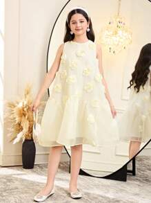 Elegantes ärmelloses Kleid mit 3D-Blumenmuster aus Organza-Patchwork in A-Linie für Tween-Mädchen - Aprikosenfarben - Übersicht 9