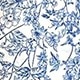 Blue and White