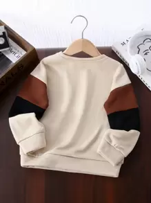 SHEIN Leap Crew Tween Boy Casual Versatile Color Block Sleeve Round Neck Loose Applique Knitted Hoodie Sweatshirt, Suitable For Commuting, School, Daily Casual, Travel, Sports, Spring, Summer, Autumn, Winter - Multicolor - View 4