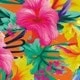 Multicolore