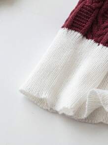 SHEIN LUNE Suéter de punto de manga larga con bloques de color para mujer talla grande, jersey de punto para otoño e invierno - Burdeos - Ver 4
