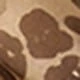 Coffee Brown