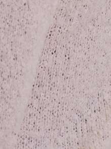 MUSERA Jupe mini ajustée avec fente latérale, style fluffy, pour l'été seulement