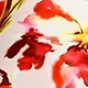Rose Red