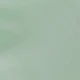 Vert menthe