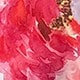 粉色