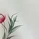 彩色