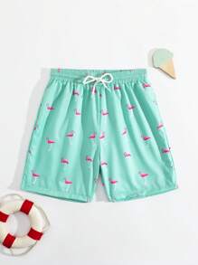 Tween Boy Flamingo Print Drawstring Waist Swim Trunks