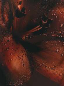 MUSERA 露背吊带印花雪纺系带无袖波西米亚风迷你连衣裙，可爱性感，适合春夏季俱乐部度假、假日音乐会、海滩、秋季约会、外出和生日等场合。 - 棕色 - 查看 6