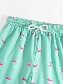 Tween Boy Flamingo Print Drawstring Waist Swim Trunks