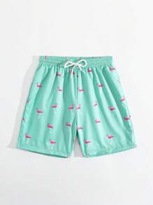 Tween Boy Flamingo Print Drawstring Waist Swim Trunks