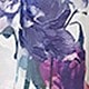 彩色