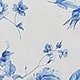 Blue and White