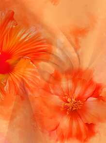 SHEIN MOD Damen Bluse mit asymmetrischen Volants und Druckverzierung, figurbetont