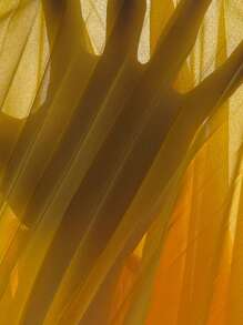 Elenzga Plus Size French Romantic Solid Color Pleated Ruffle Cold Shoulder Long Dress, Spring/Summer - Yellow - View 5
