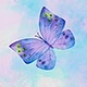 Baby Blue