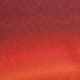 Burnt Orange