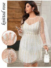 SHEIN Unity Plus Size Women's Spring/Summer New Elegant Embroidery Net Yarn Long Sleeve Round Neck Dress