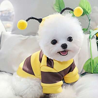 Trang phục chó ong - Áo hoodie hình chó Schnauzer, Teddy, chó con và mèo nhỏ, hình con ong dễ thương, ấm áp và thoải mái, thích hợp cho thú cưng mặc hàng ngày hoặc mặc ngày lễ, có nhiều kích cỡ