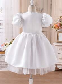Young Girl Fitted Elegant Round Neck Sleeveless Floral Applique Waisted Mid-Length Dress - White - View 2