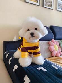 Dog Bee Costume - Schnauzer, Teddy, Small Puppy And Cat Hoodie, Cute Bee Shape, Warm And Comfortable, Suitable For Pets Daily Or Holiday Dress, Multiple Sizes Available - Yellow - View 2