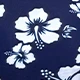 Blue and White