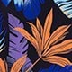 彩色