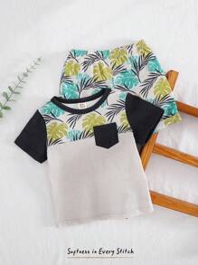 Cozy Pixies 2pcs Baby Boy Colorblock Knitted Soft Round Neck Short Sleeve Pullover Top And Elastic Waist Shorts Set - Multicolor - View 3