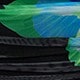 الأسود