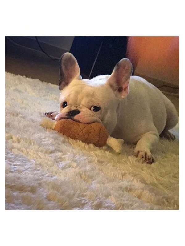 1pc Small Dog Bite Resistant Chicken Leg Shaped Plush Toy, Sound Making Dog Toy, Amusing Cat Toy, Self-Entertainment Pet Toy
