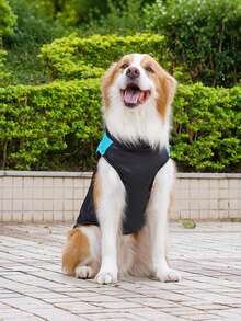 秋冬宠物服装批发：狗猫保暖背心，适合金毛、边境牧羊犬等大中型犬种。 - 藍色 - 查看 2