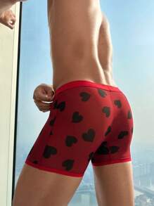 Red Mesh Sexy Sheer Enticing Underwear For Men, Sensual Intimate Apparel For Clubbing And Parties - Red - View 5