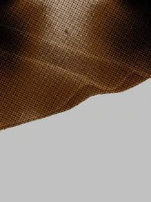 Slaydiva 休闲简约性感图案印花女式上衣，适合夏季