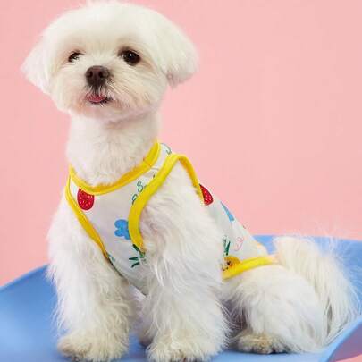 PETSIN 2 件套可爱菠萝字母印花宠物狗/猫背心，透气舒适通用设计