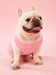 PETSIN 2pcs/Set Pet Cat Dog Universal Strawberry Print Cute & Sweet Comfortable Breathable Dog Vest, 2pcs/Set - Multicolor - View 11