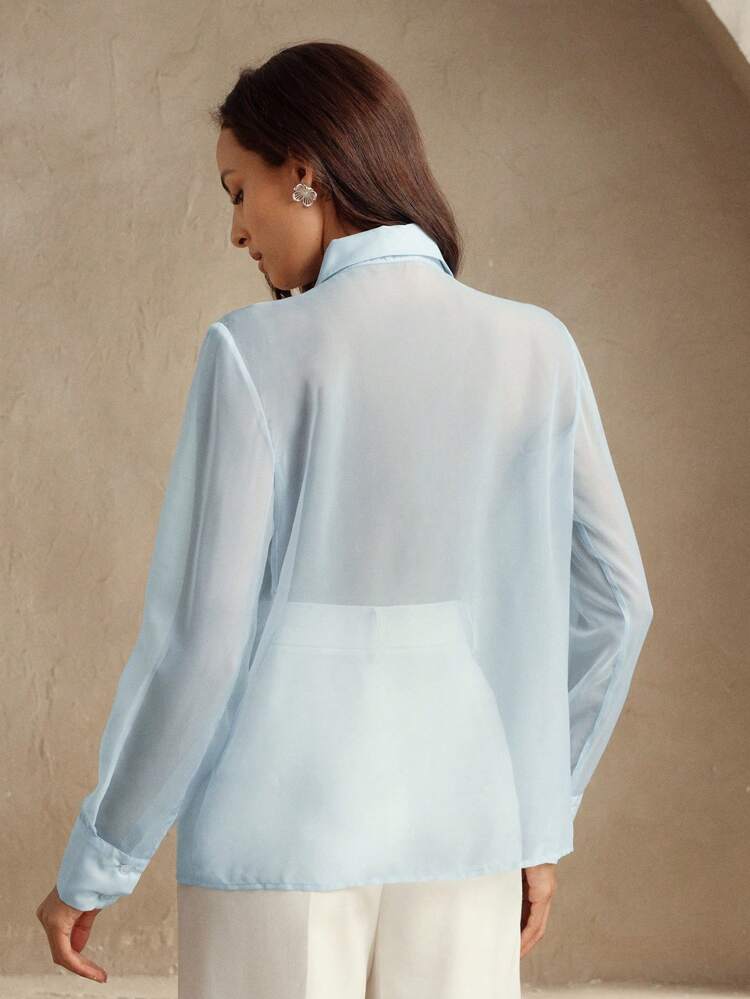 Fashionable Women Embroidery Sheer Oversized Long Sleeve Blouse, Business Casual, Elegant For Festivals