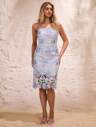 Midi Dresses