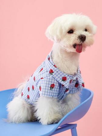 PETSIN 1st Hondenshirt Met Plaid & Aardbeienprint, Casual Comfortabele Universele Huisdierenkleding