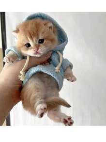 1 pieza Sudadera pequeña para mascota para conejo, hámster/ardilla, gatito
