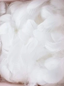 约 100 件白色仿羽毛 - 白色 - 查看 3