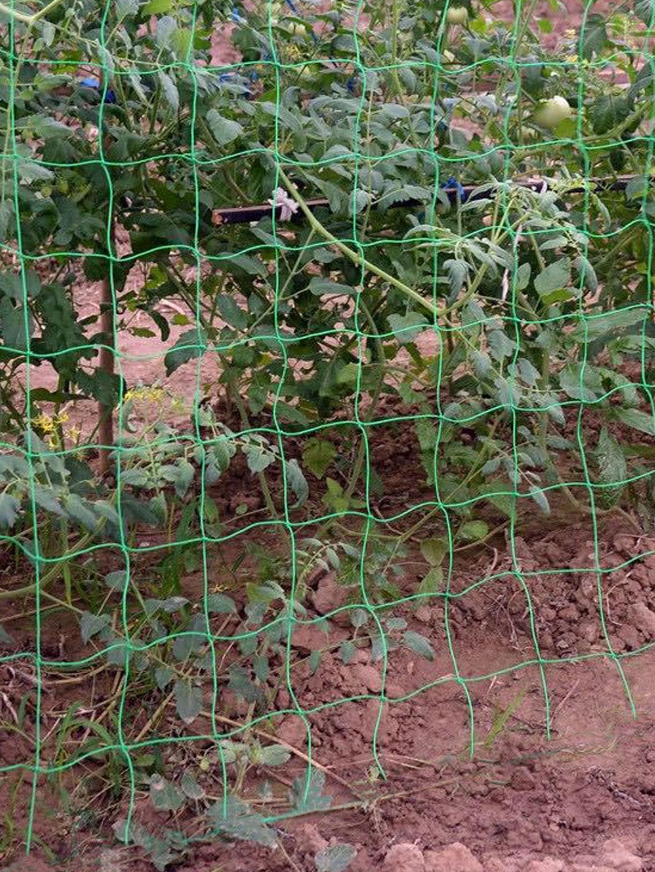 1pc Plain Plant Protective Net, Simple Green Plant Support Net For ...