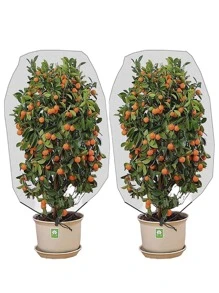 Insect-proof Mesh Bag, Plant Insect-proof Mesh Cover, Garden Fruit And Melon Insect-proof Bag - White - View 1