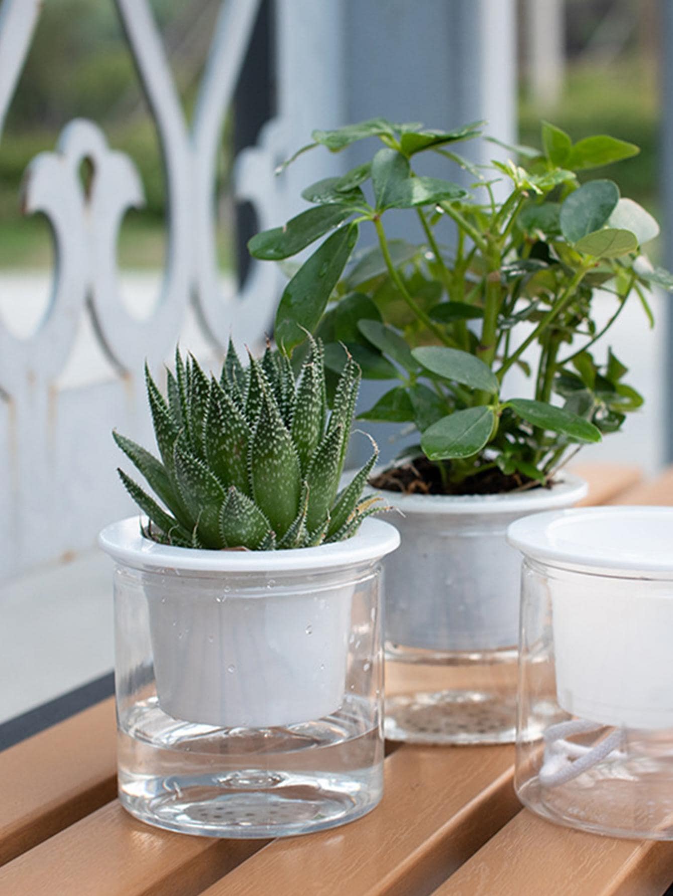 1 pieza Maceta poliresina - Blanco - Ver 1