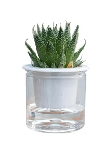 1 pieza Maceta poliresina - Blanco - Ver 5