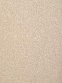 1 Đồng Màu Đệm Mà Không Cần Chất Độn, Tối Giản Vải Tua Rua Viền Trang Trí Ném Gối Cho Phòng Khách, trang Trí Nhà Cửa - Màu be - Xem 4