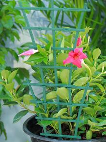 2pcs PP Plant Support Stake, Modern Green Plant Stake For Garden - Green - View 1