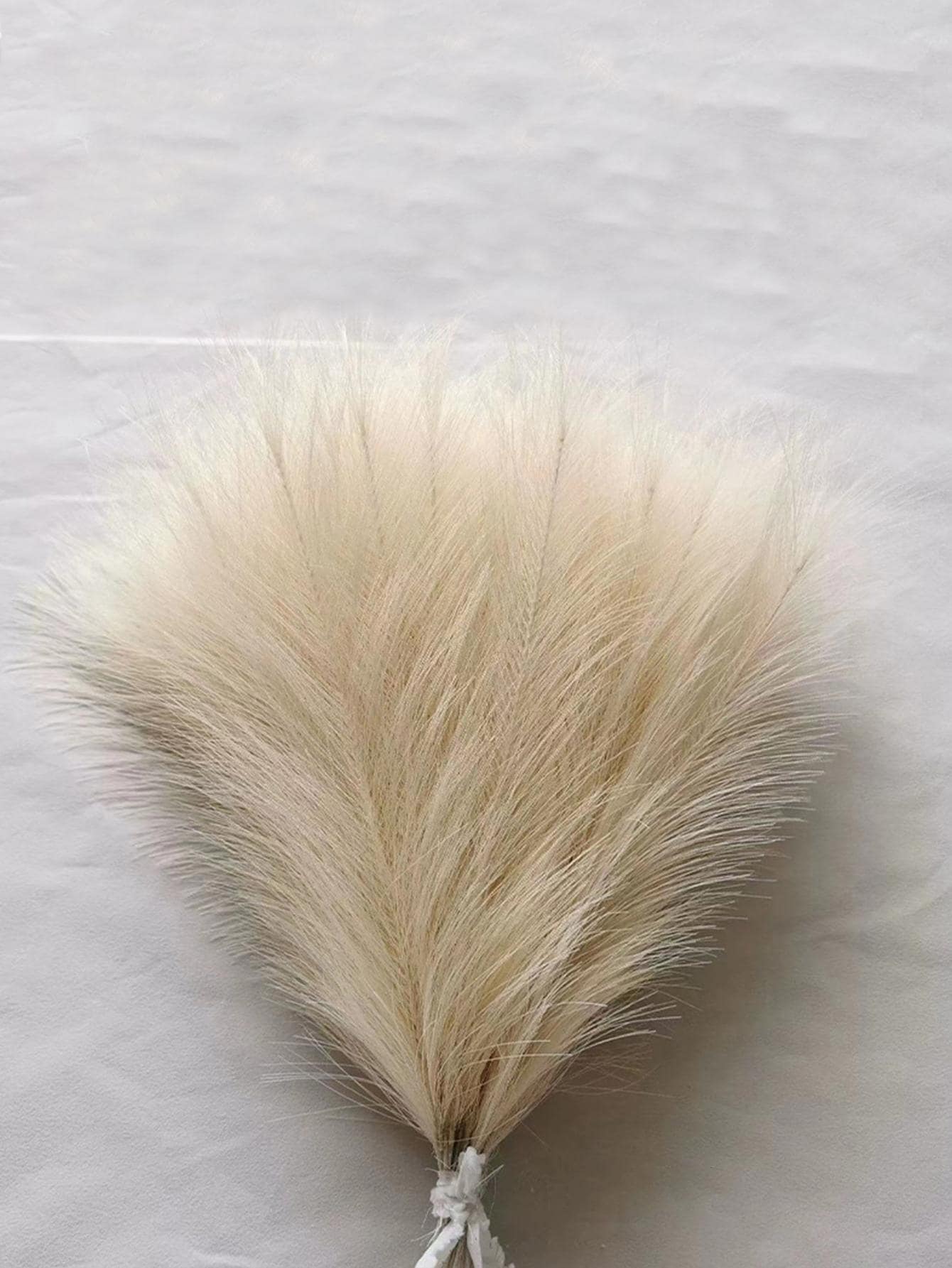 10pcs/Set Polyester Artificial Plant, Nordic Artificial Reed For Home Decor,Fake Plants,Fall Decor,Room,Desk,Garden Decor,Room Decoration Stuff, Valentine Day, Gift,Fall Decor,Autumn - Champagne - View 1