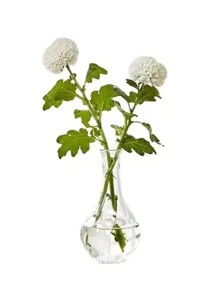 1 Bình Thủy Tinh, Bình Hoa Trong Suốt Bắc Âu Cho Trang Trí Nhà - Trong sáng - Xem 6