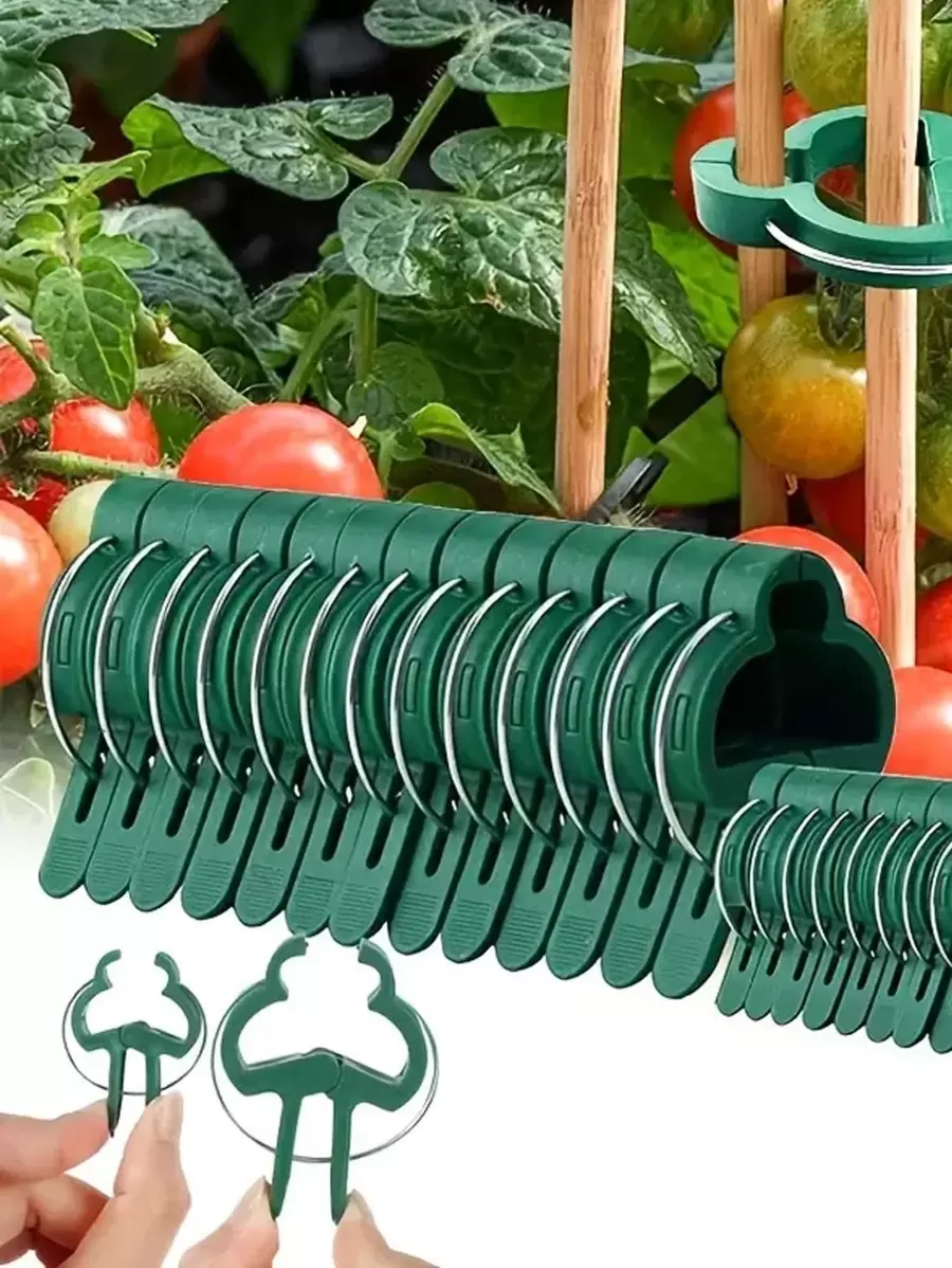 10 cái/bộ Kẹp cố định cây trồng PP, Kẹp dây leo xanh đơn giản để kéo dây leo - màu xanh lá - Xem 1